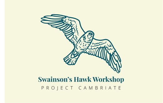 Swainson’s Hawk Workshop
