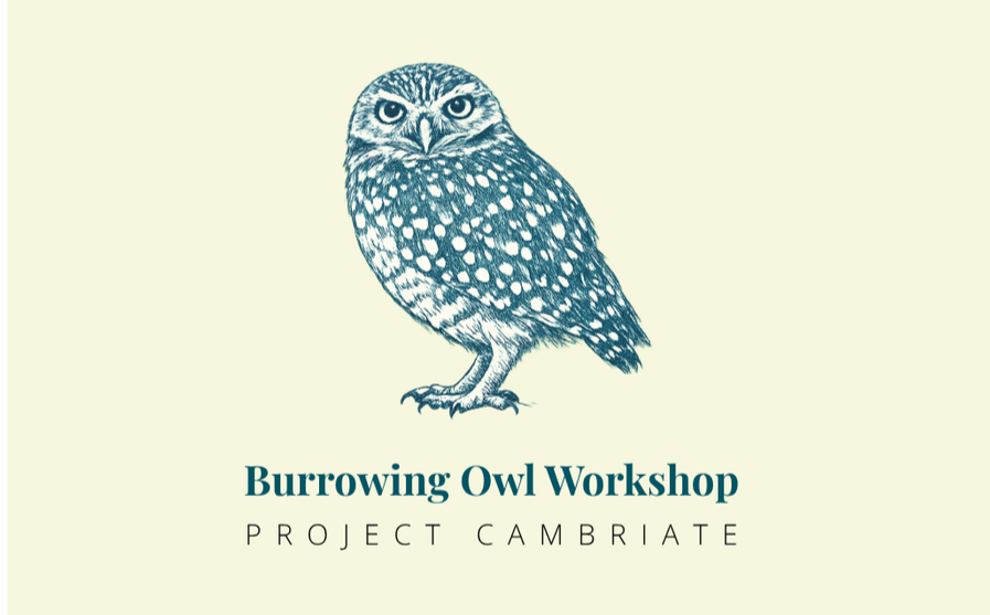 Burrowing Owl Workshop