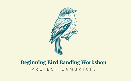 Beginning Bird Banding Workshop