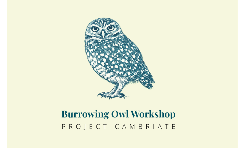 BUOW Workshop Logo.png