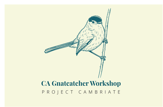 CAGN Workshop Logo.png