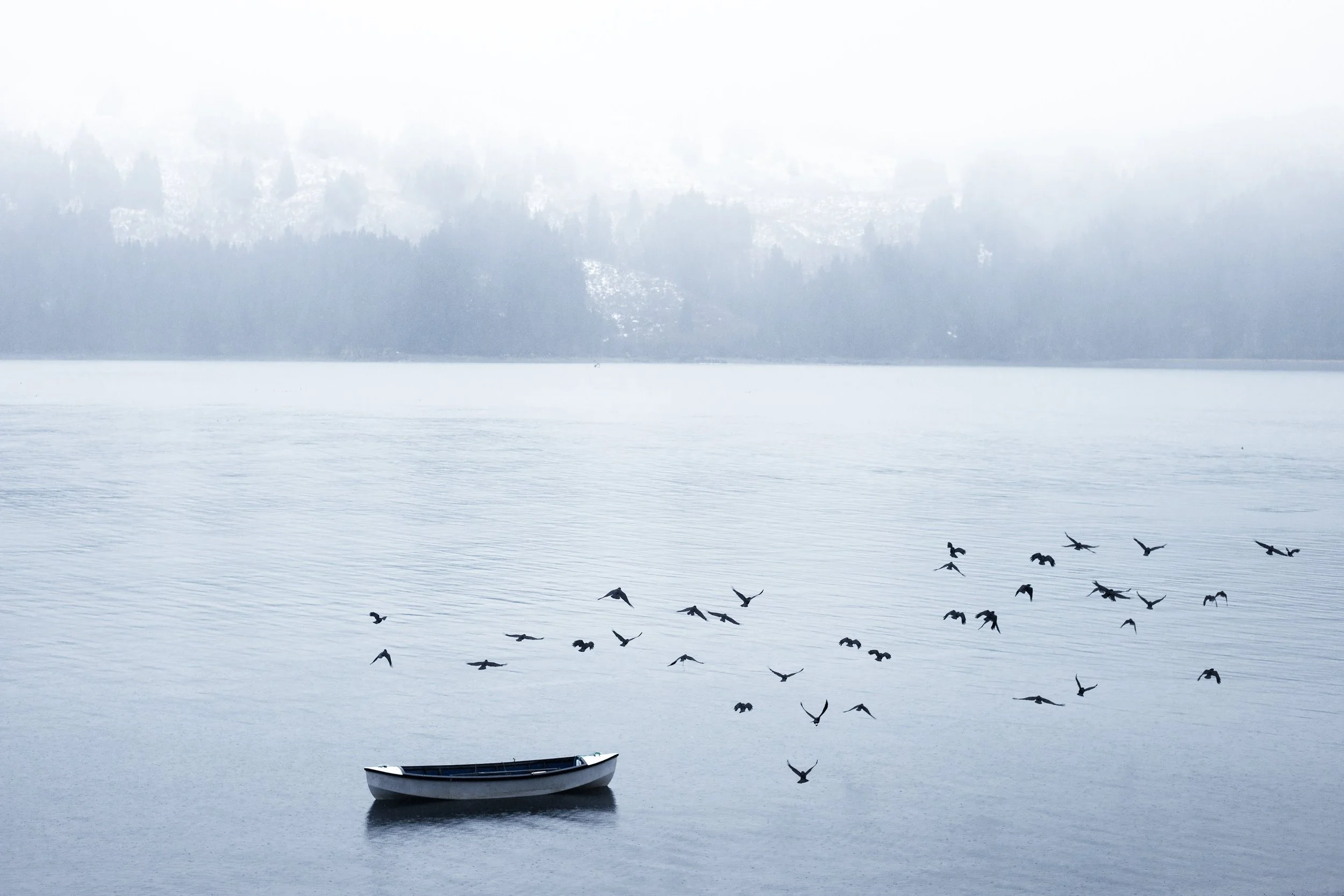 Alaska, le travail d'une vie