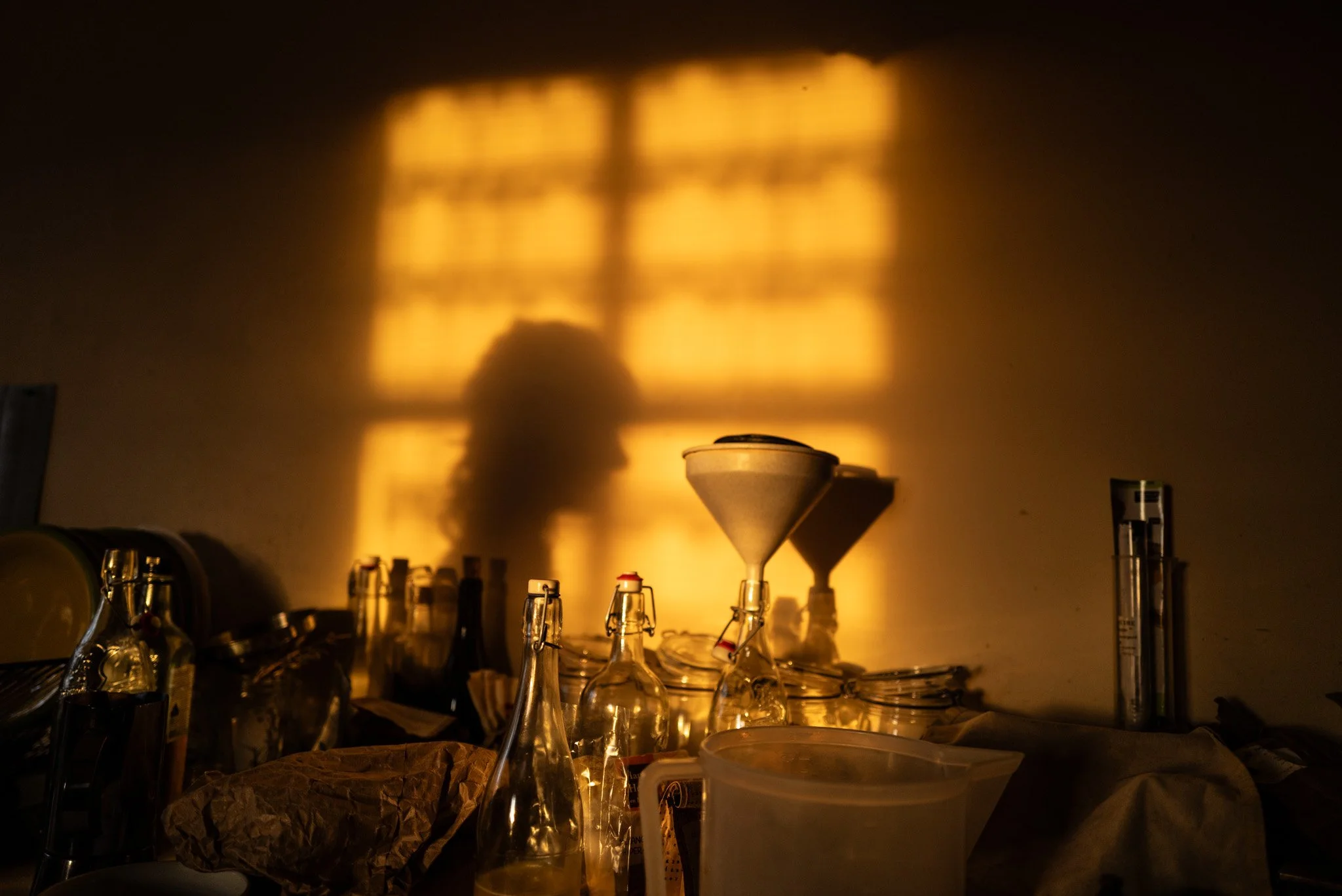 L1140413.jpg
