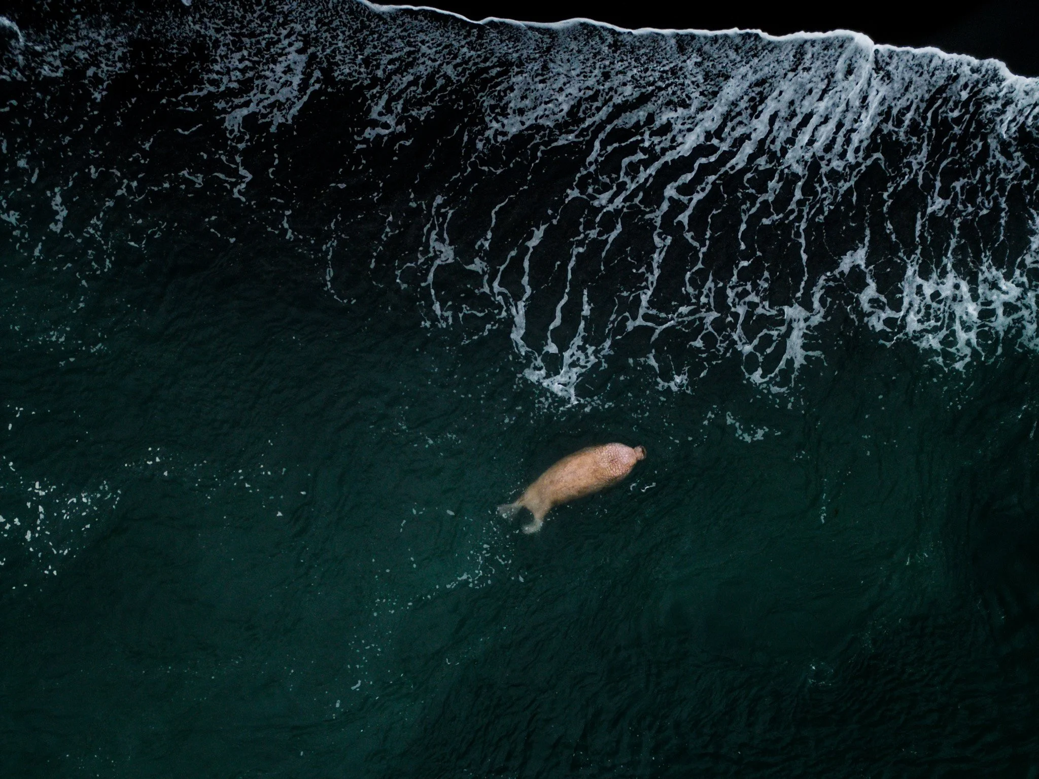DJI_0085.jpg