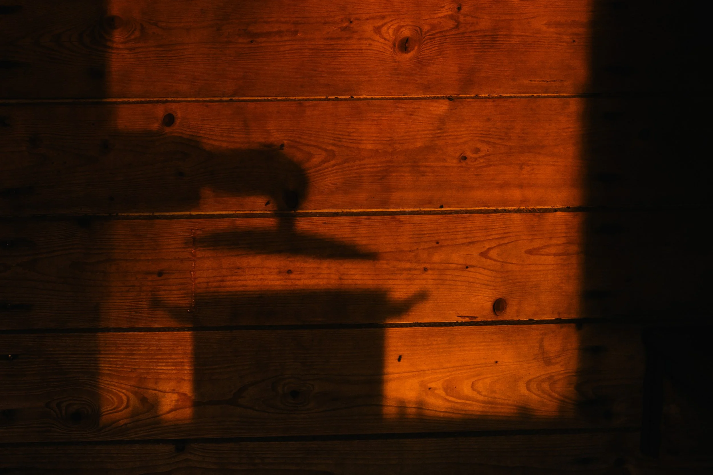 L1140663.jpg