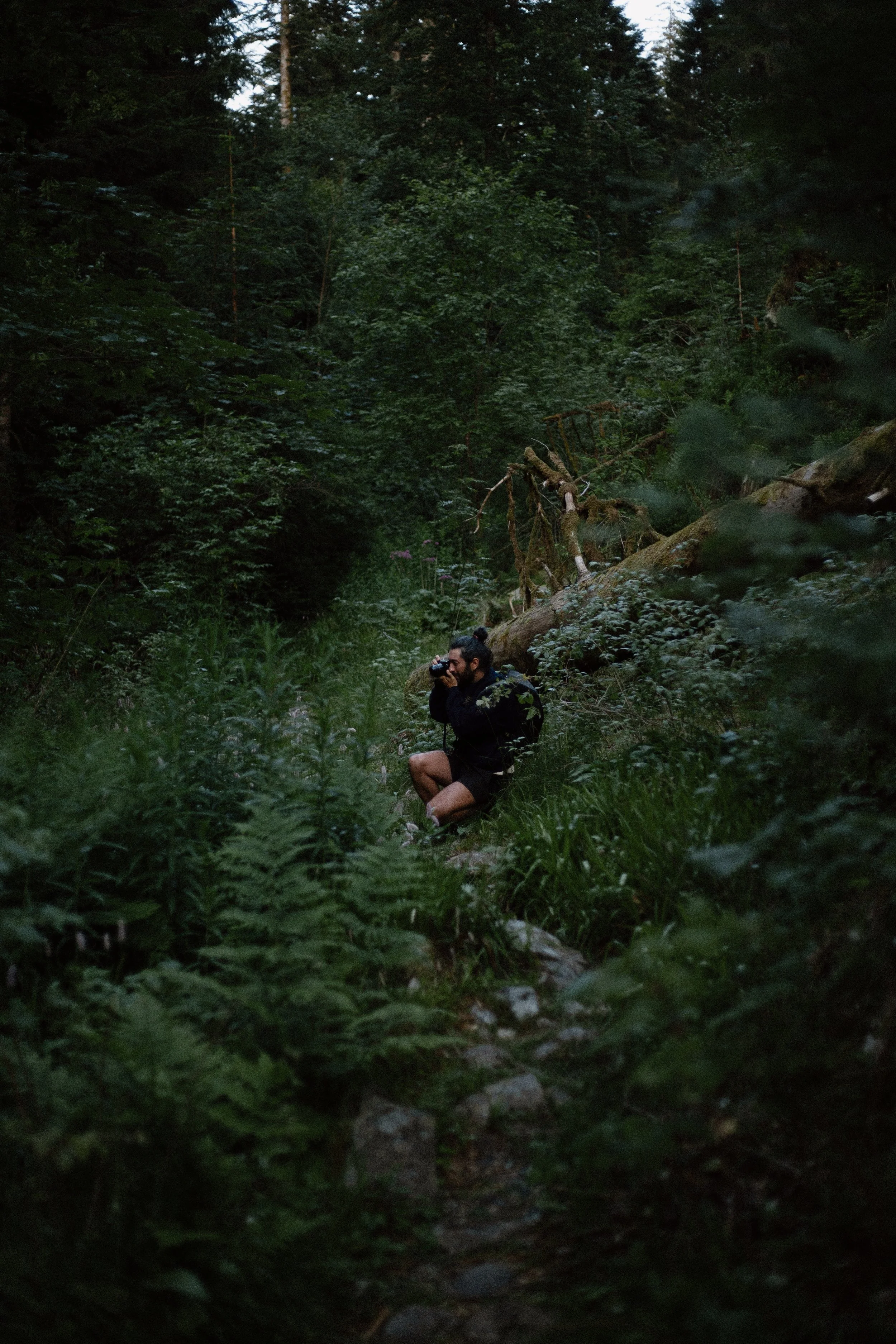 "Portrait immersif d'Antonin Charbouillot, photographe, accroupi au cœur d'une forêt dense, en cohabitation avec la nature environnante
