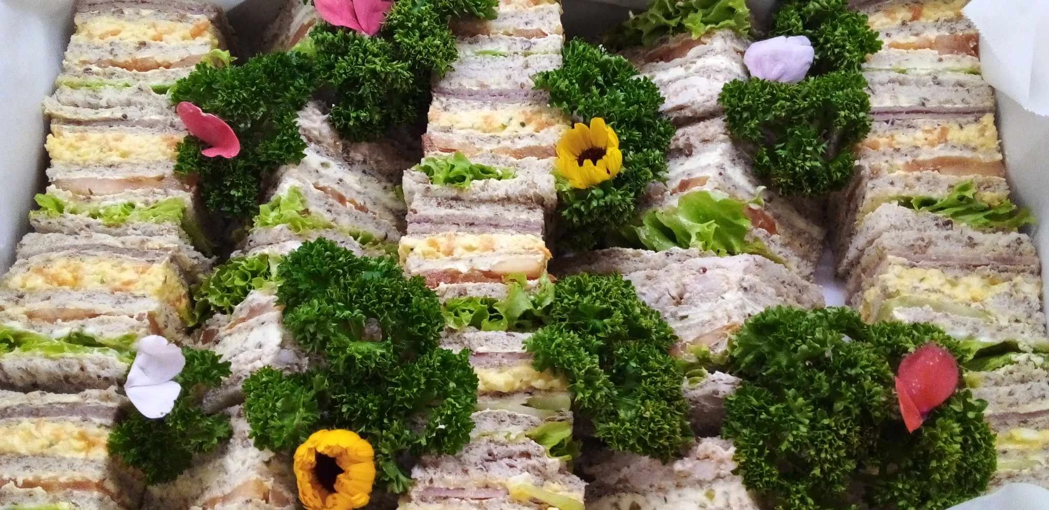 mixed club sammies.jpg