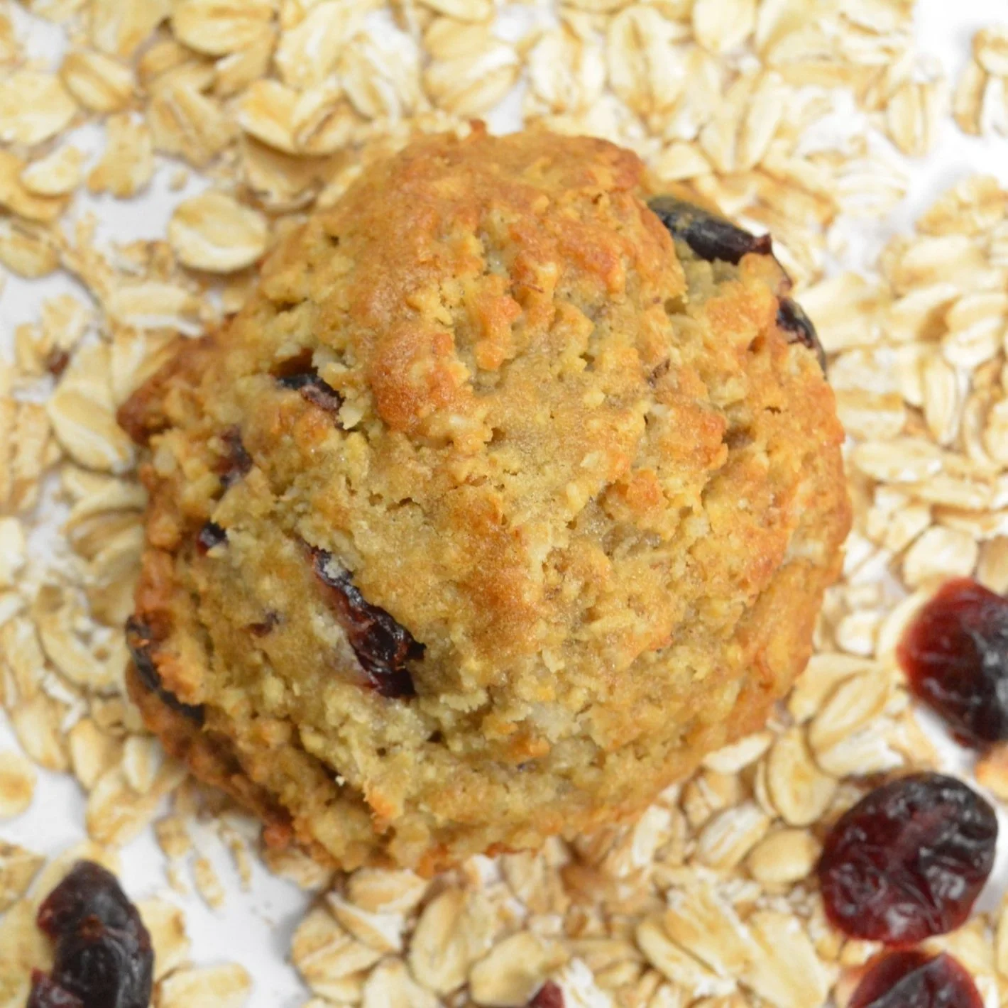Oatmeal Craisin