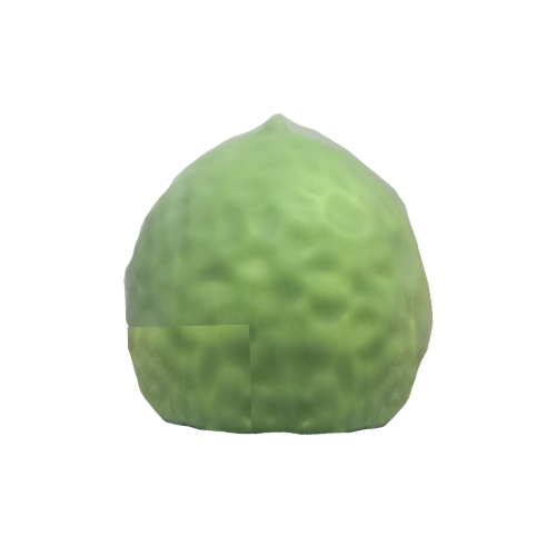 Melon 3D Ice Cream