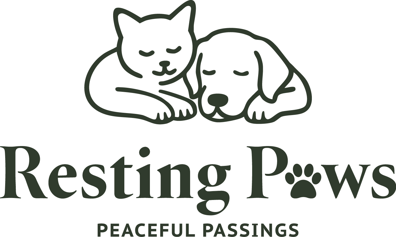 Resting Paws