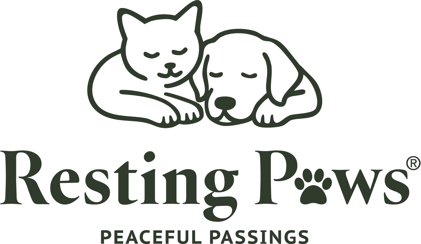 Resting Paws