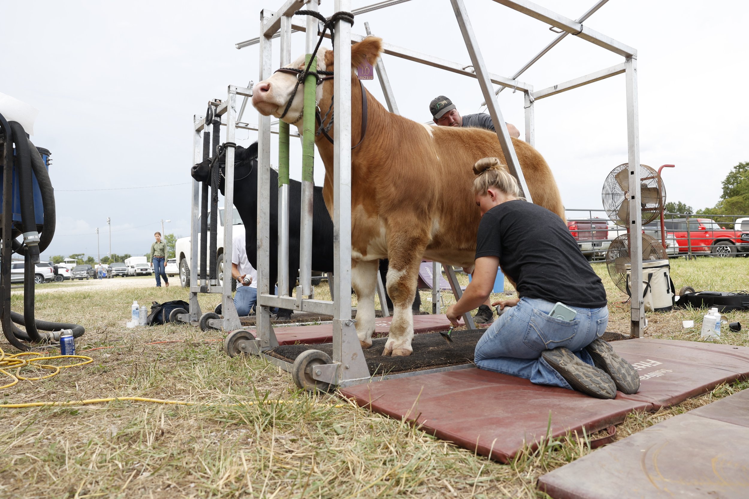 20250716_fair_TS_288 (2).JPG