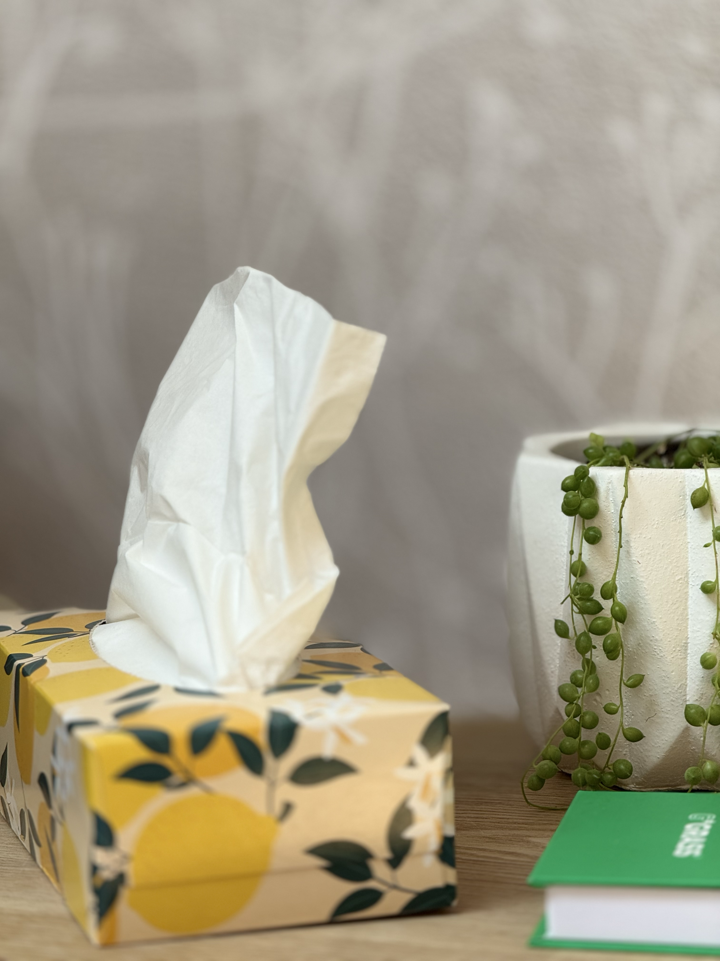 A decorative tissue box with a lemon and leafy pattern, with a tissue pulled out, next to a potted plant with hanging green beads and a closed green book on a wooden surface.