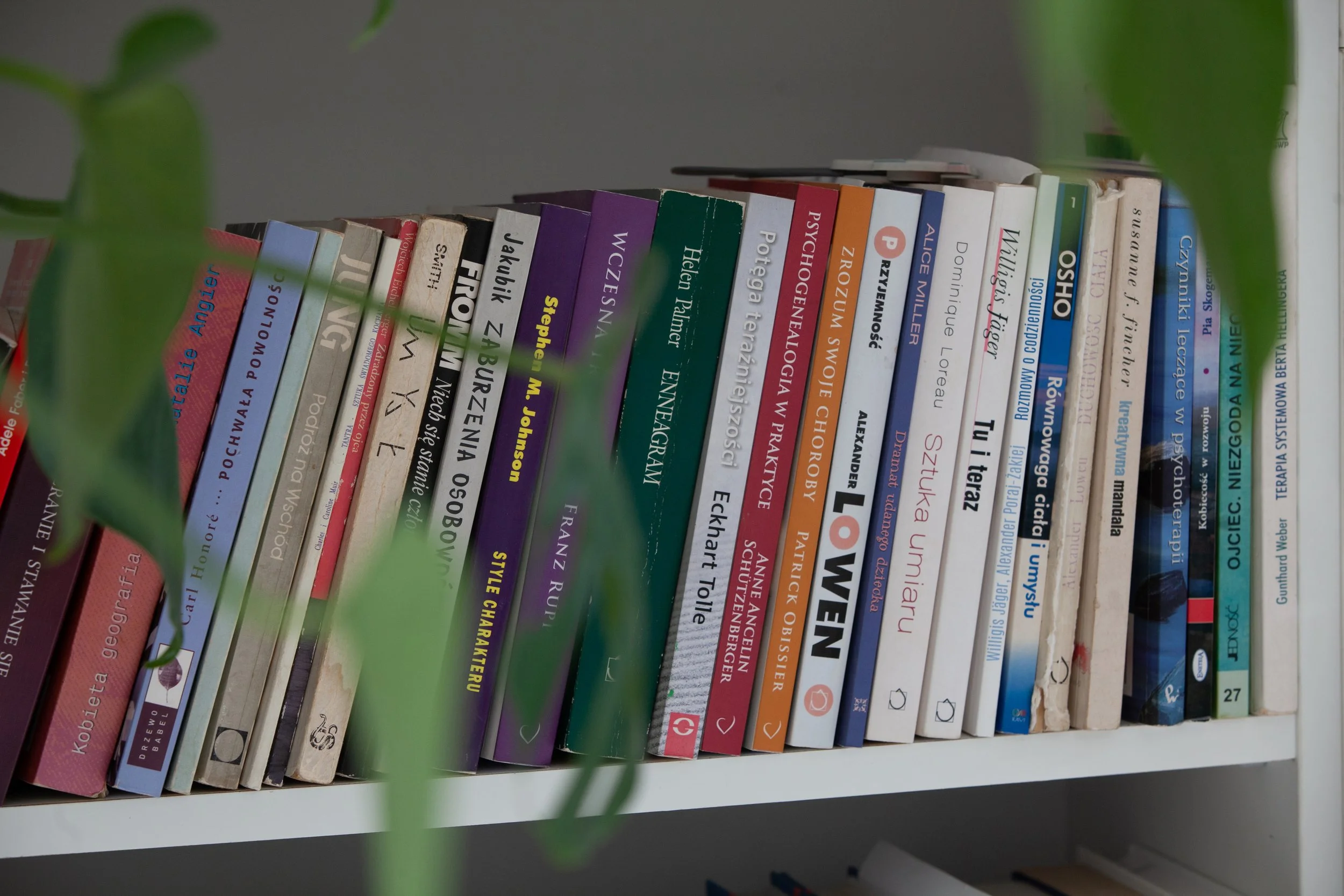A bookshelf with various books, some titles visible including 'Love', 'Osho', and 'Tui Tia'. Green leaves partially obscure view.