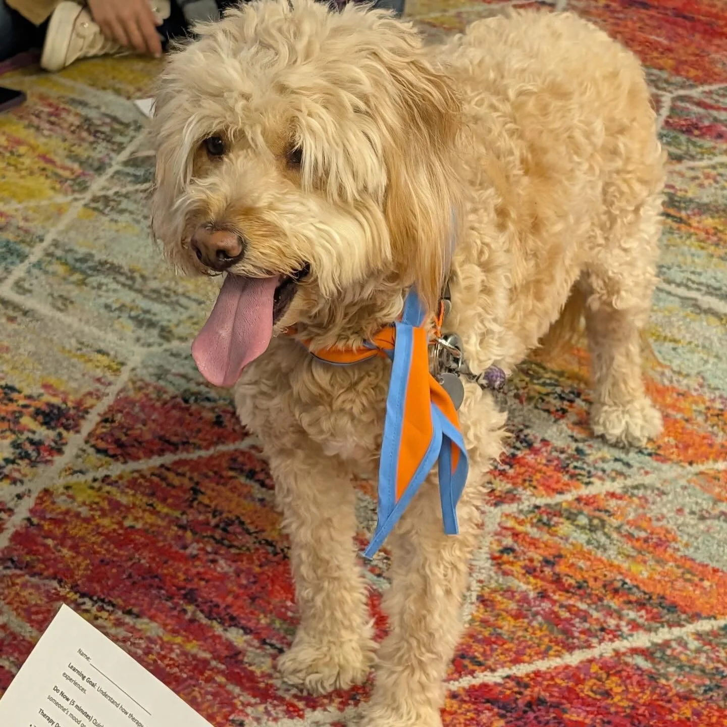 A good day for the Good Dog Foundation!

With IB exams kicking off, middle school testing, and preparing for Regents, our BSGE students (and staff) are stressed out! 

Today we had the opportunity to interact with our comfort/therapy dog, Belly, and 