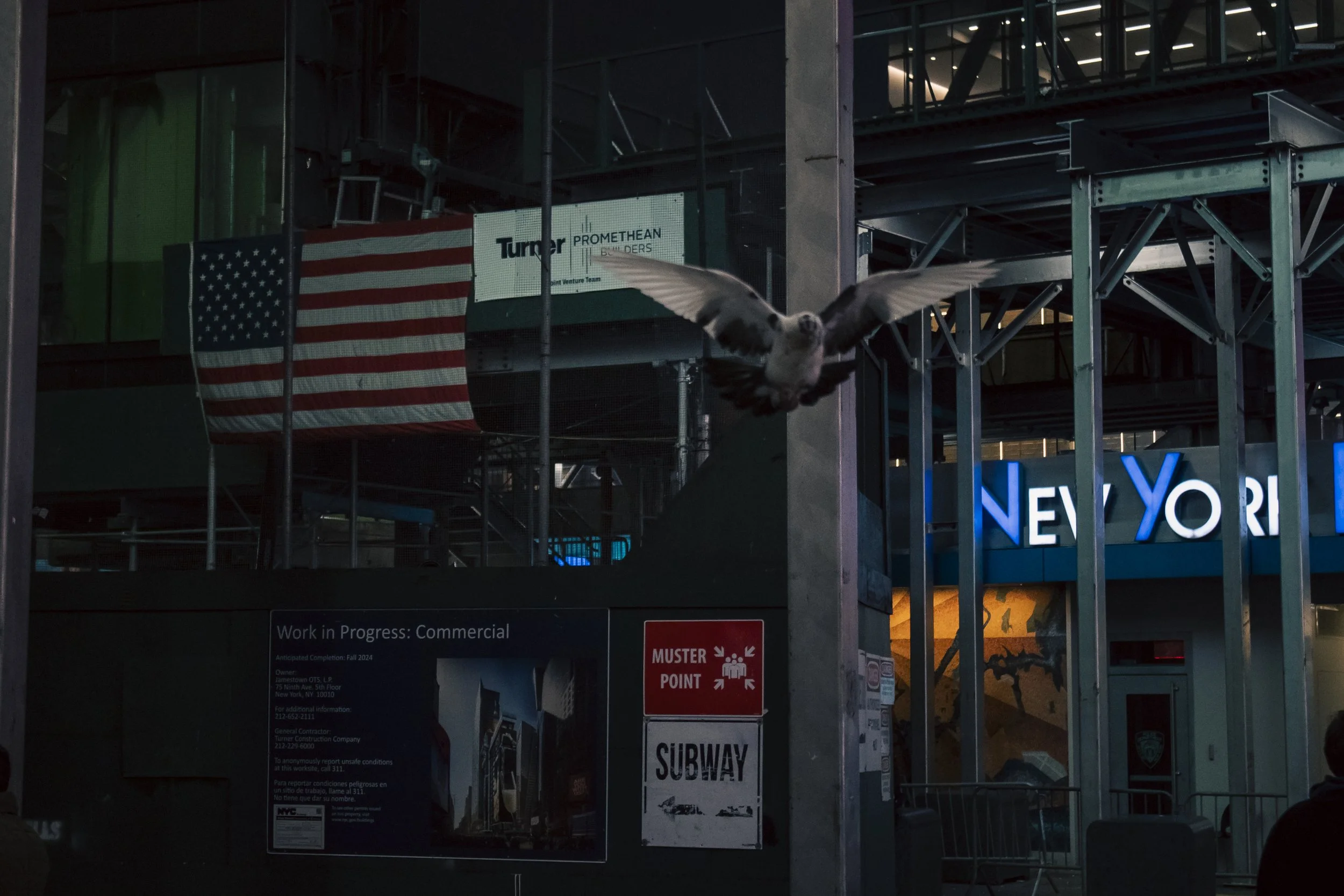 A bird flying in front of a New York City subway entrance, with an American flag hanging nearby and various construction signs and scaffolding.