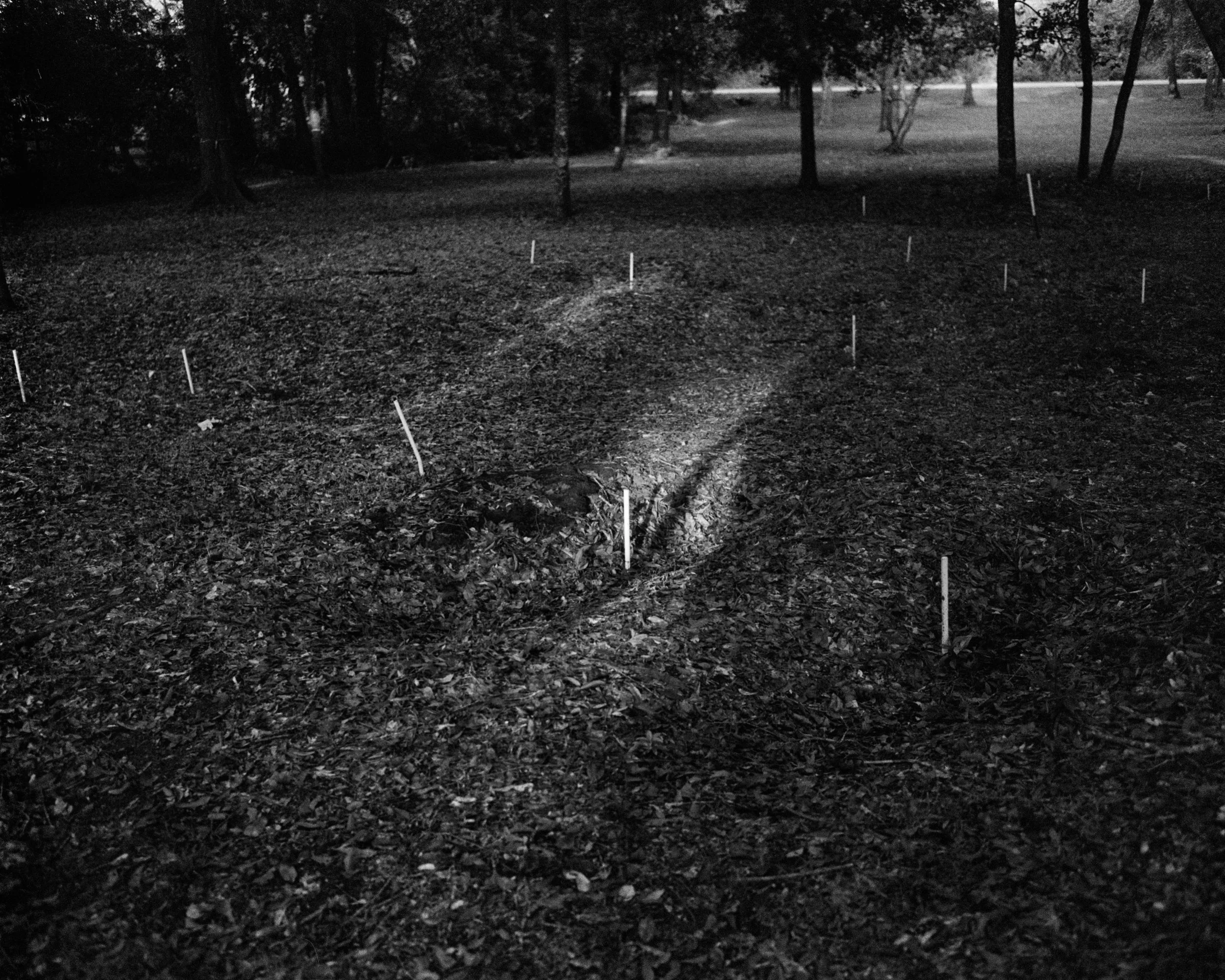 A dark outdoor scene in a wooded area with small stakes or markers placed in a pattern on the ground, with trees in the background and a faint light source illuminating the scene. Markers of unmarked slave graves found in Florida.