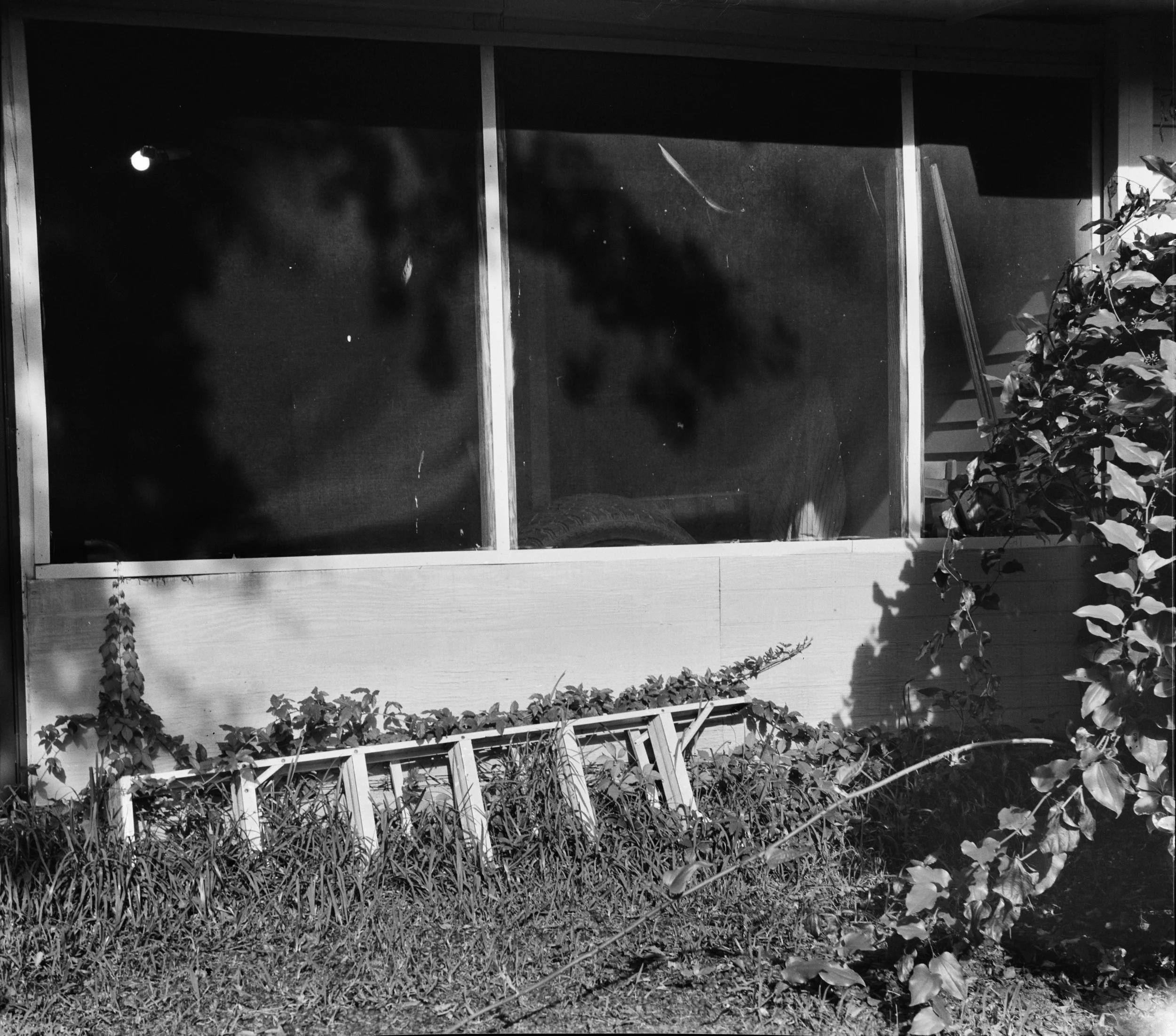Black and white photo of Florida home with mesh covered porch. Fallen ladder covered in vines in front.