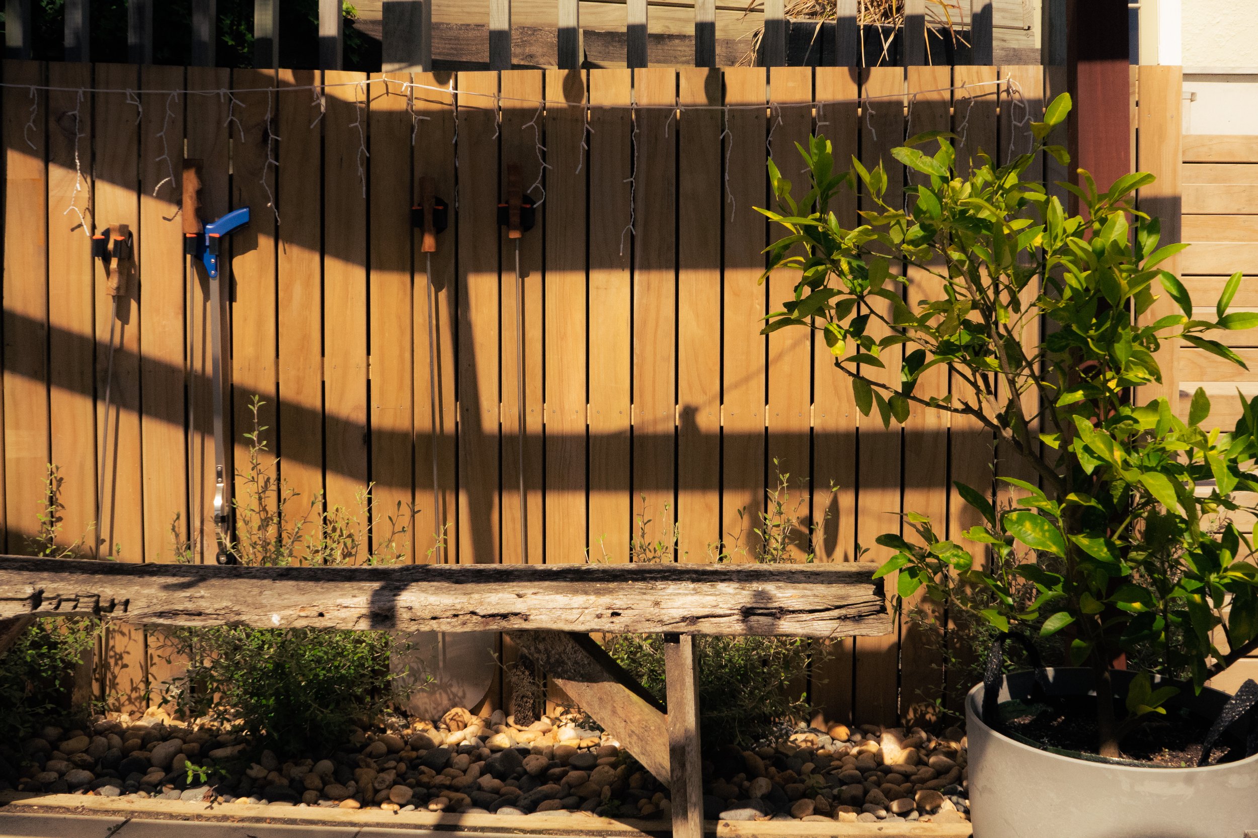 A private backyard with a wooden fence, a weathered wooden bench, a potted shrub, and garden tools hanging on the fence.