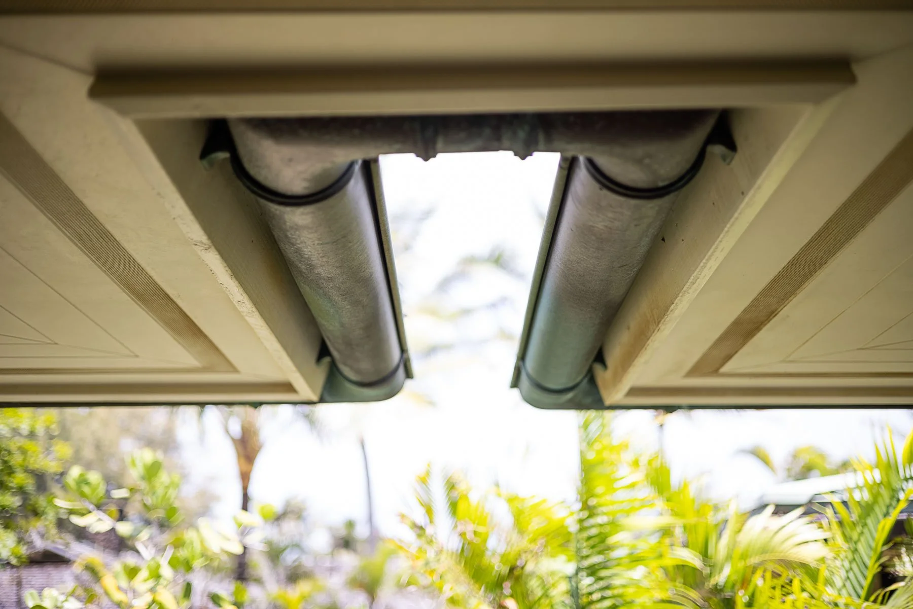 7336-Alealea-09-06-21---110.jpeg