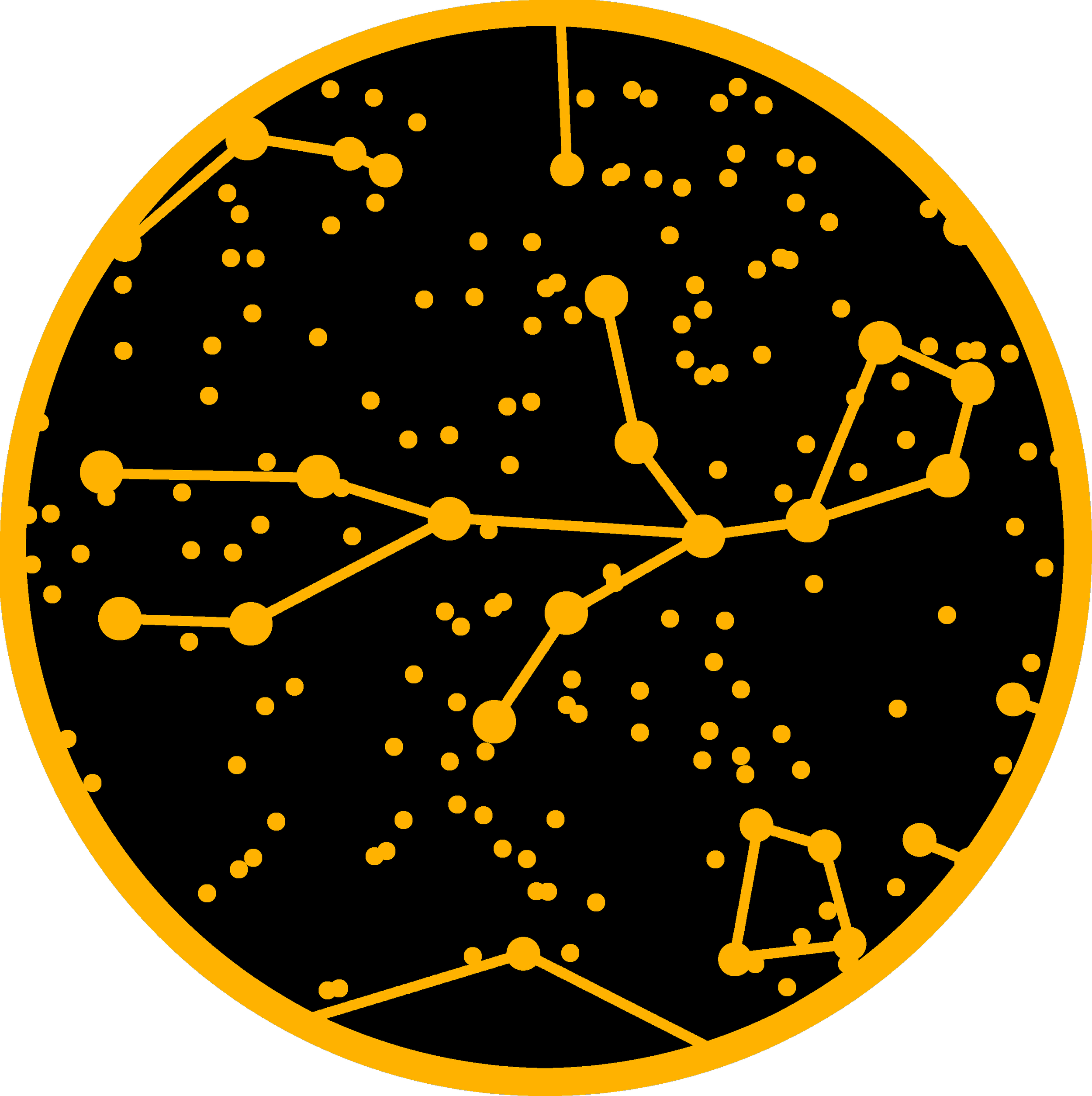 Salve Development Logo (no text).png