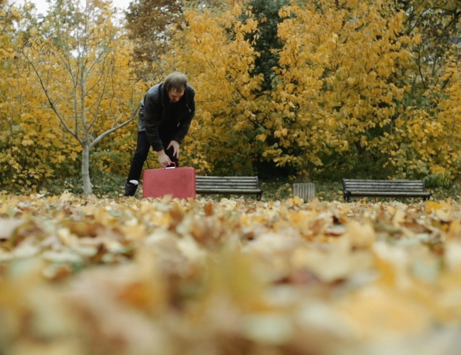 BEST THING ~ STEVE ABEL & THE CRYSTALIDS ~ 2013 ~ MUSIC VIDEO BERLIN