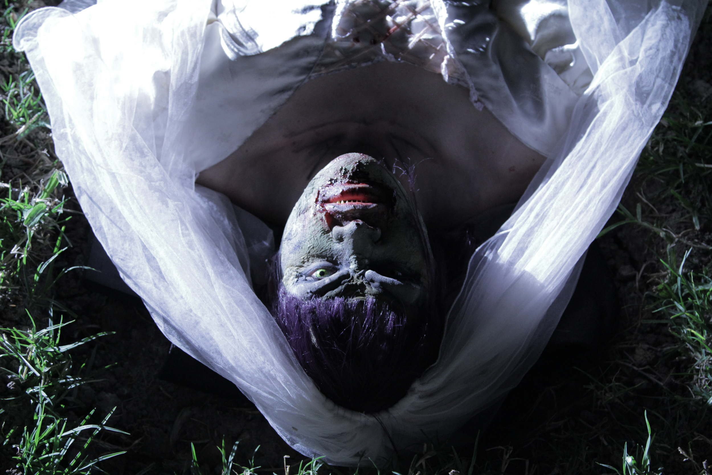 SPOOKERS ~ 2016 ~ FLORIAN HABICHT ~ NZ FEATURE FILM