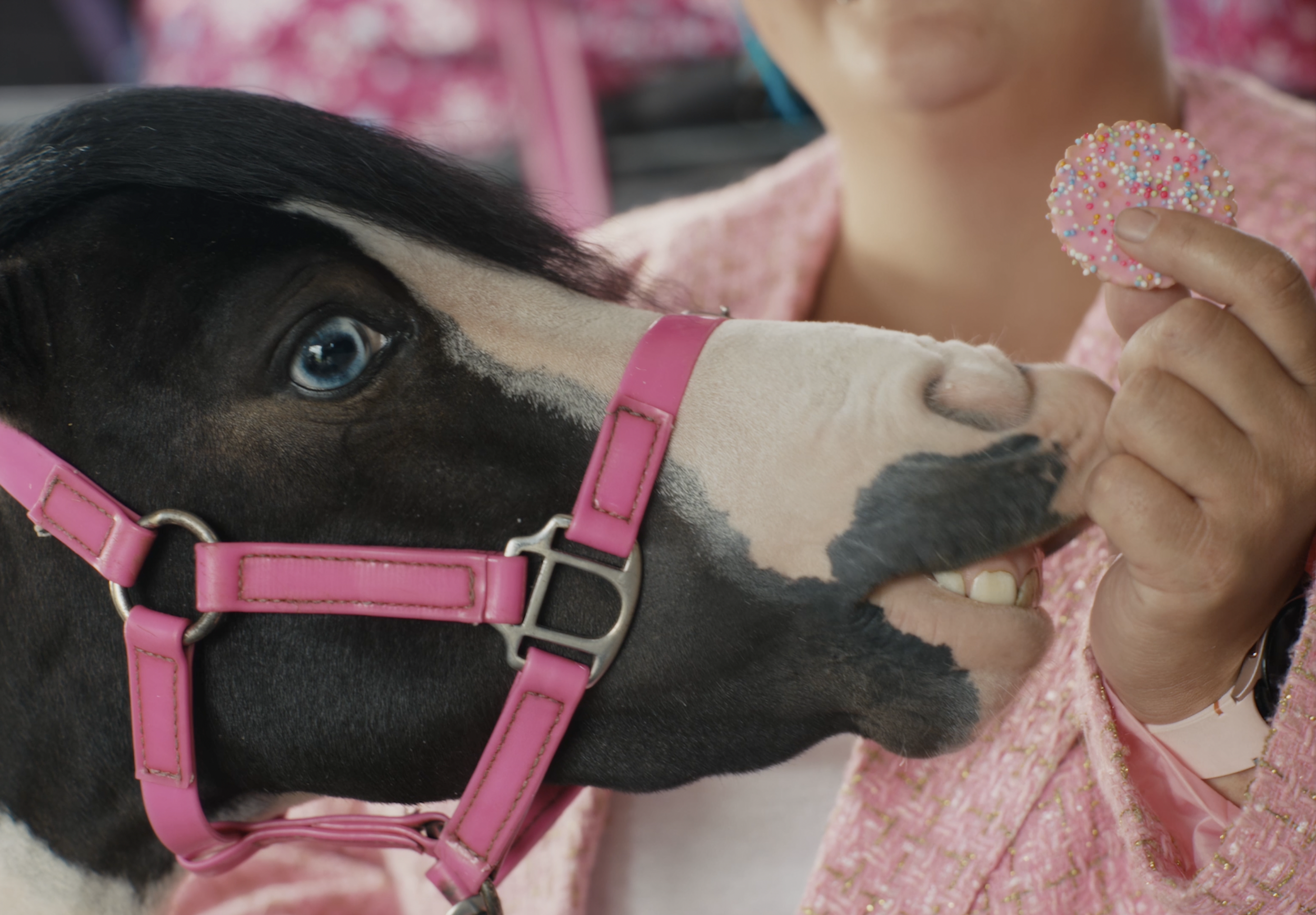 Screenshot 2026-03-24 at 9.28.14 PM.png