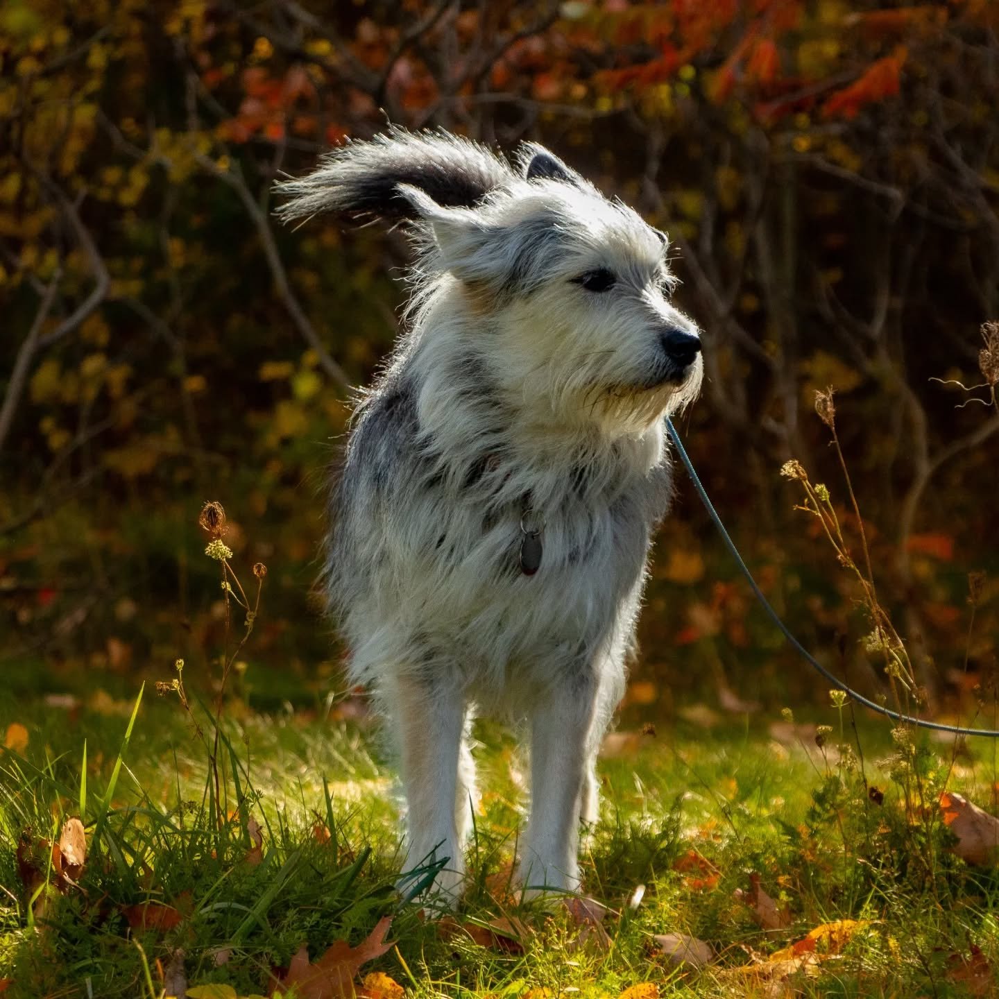 Georgia and Sadie are models, so we had to post a few more 🩵