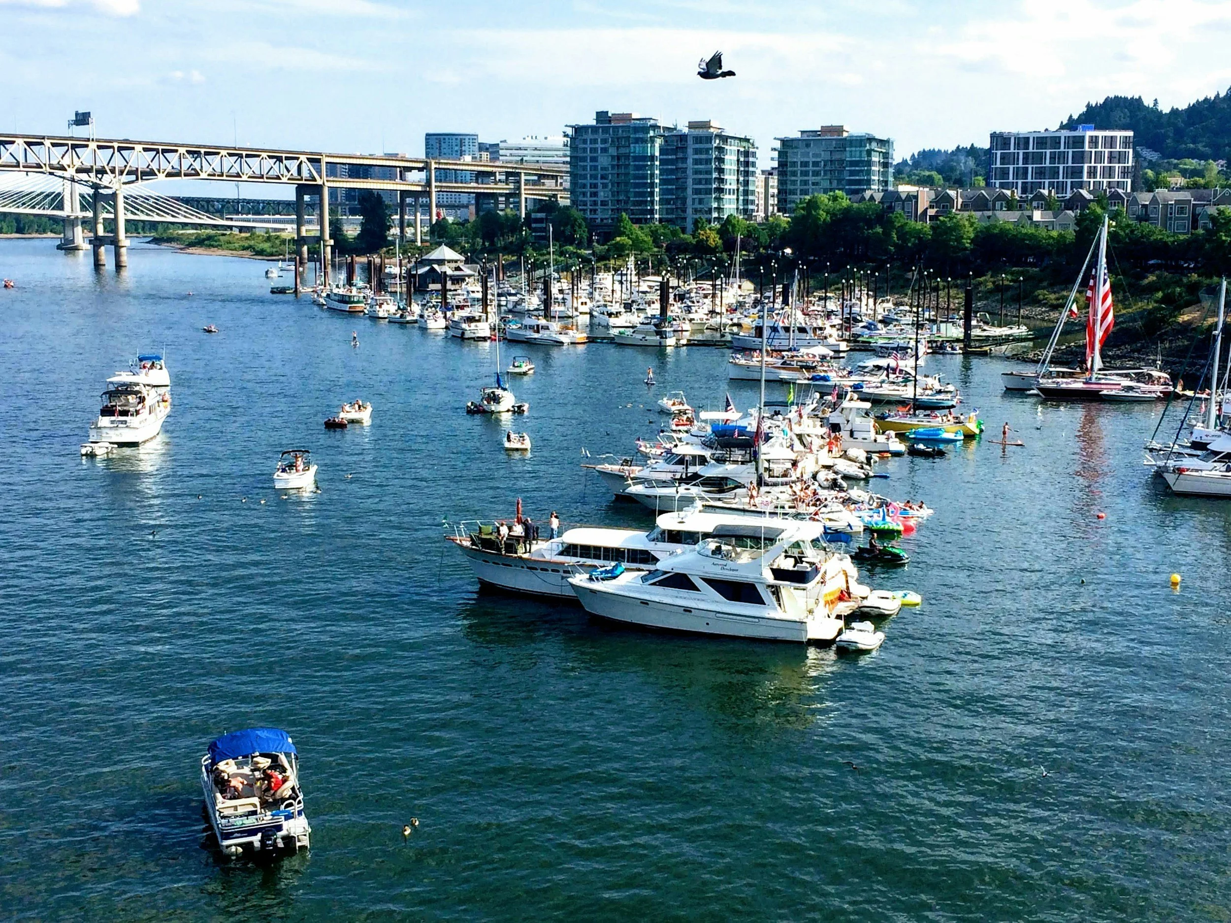 A view of a marina with numerous boats docked and sailing, a cityscape with modern buildings in the background, a bridge spanning across the water, and a bird flying overhead.