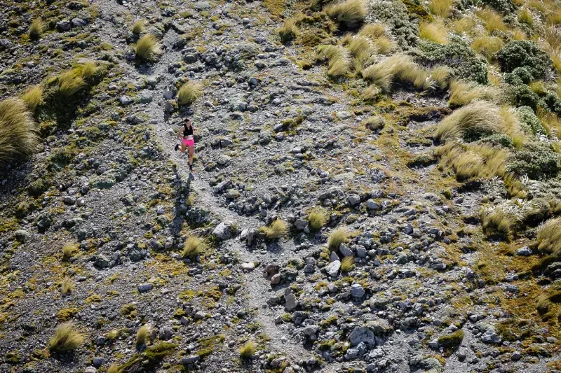 20250125_Jumbo_3392 (1).webp