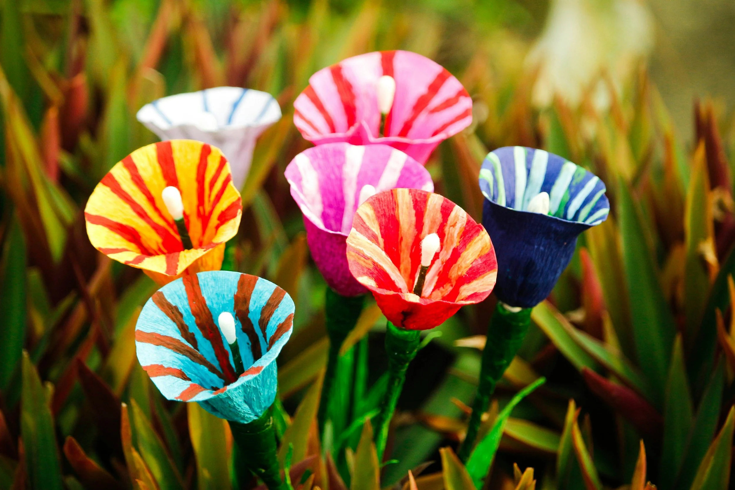 Painted paper flowers