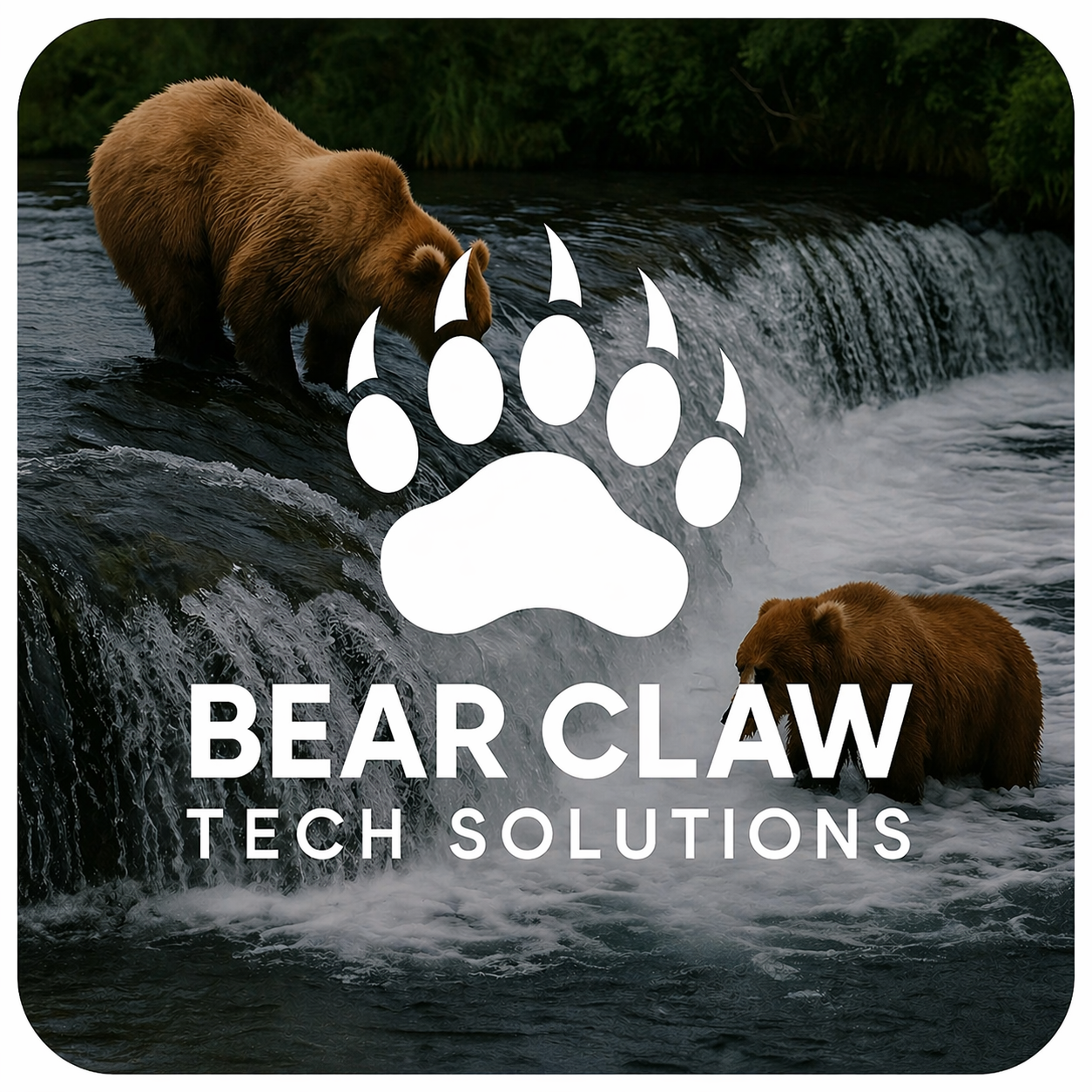 Bear Claw Tech Solutions