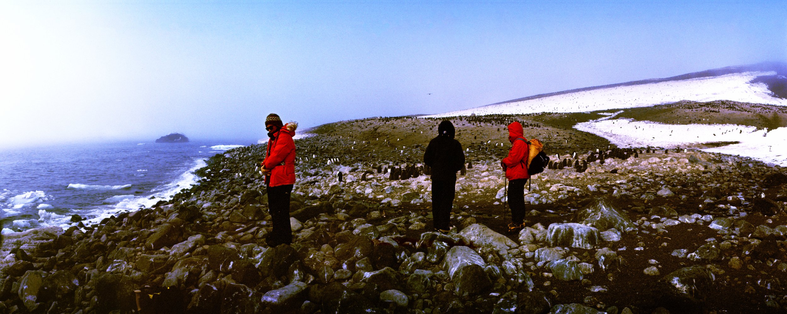 Carpenters at Cape Crozier penguin colony. (36" x 90" print)