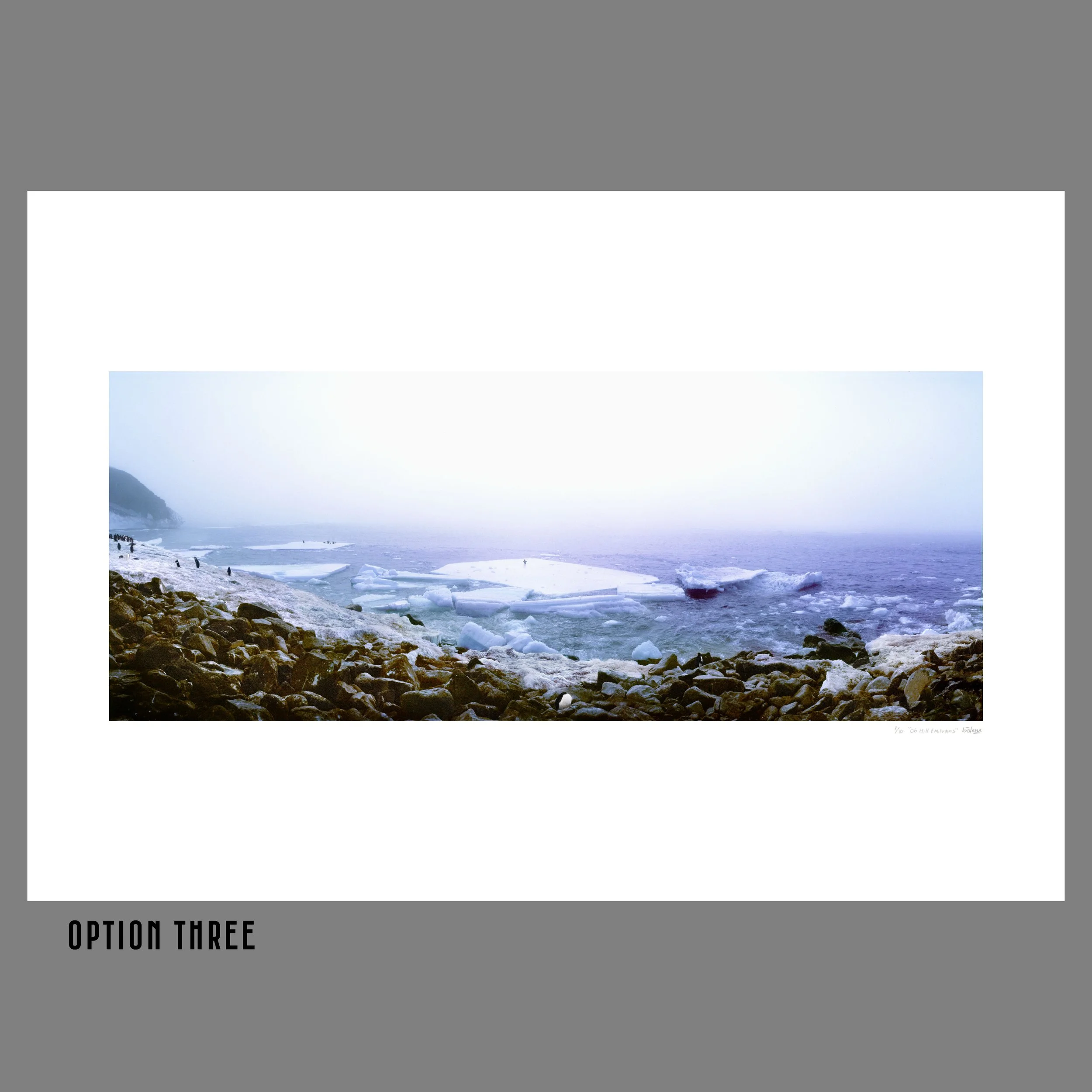 Penguins at Cape Crozier.jpg