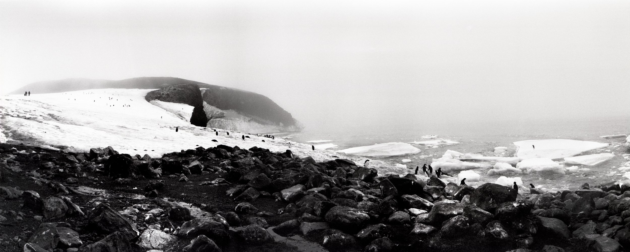 Carpenters observing penguins. Cape Crozier (36" x 90" print)