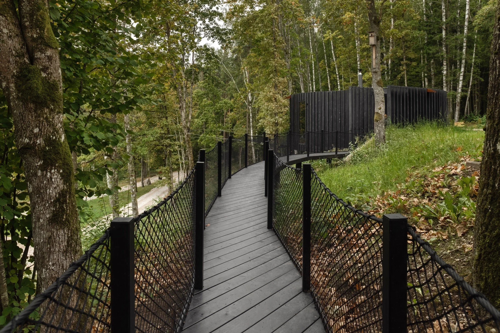 A winding wooden walkway with black railings in a forest surrounds a black, rounded, wooden structure.
