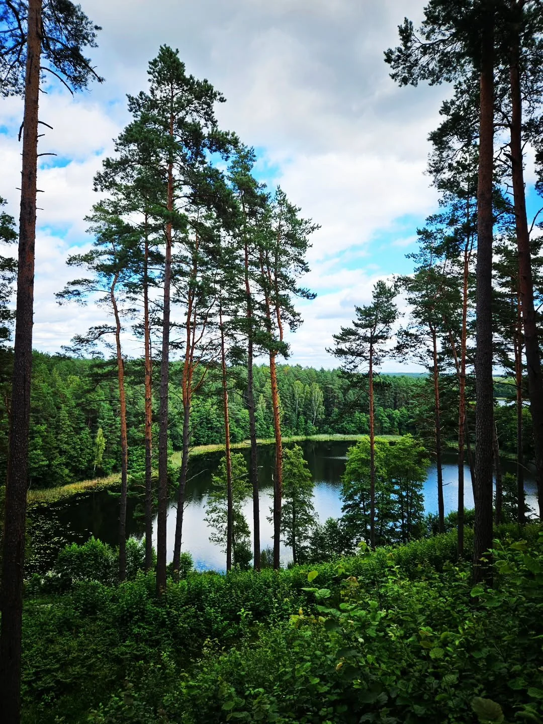 Leitin af &oacute;&thorn;ekktum t&ouml;frum og n&yacute;jum sl&oacute;&eth;um 🌿

Giski&eth; hvar &thorn;etta er? ✨

#fer&eth;al&ouml;g #fer&eth;alag #n&yacute;jarsl&oacute;&eth;ir #fer&eth;ir #n&yacute;jarfer&eth;ir #&aelig;vint&yacute;ri #t&ouml;fr