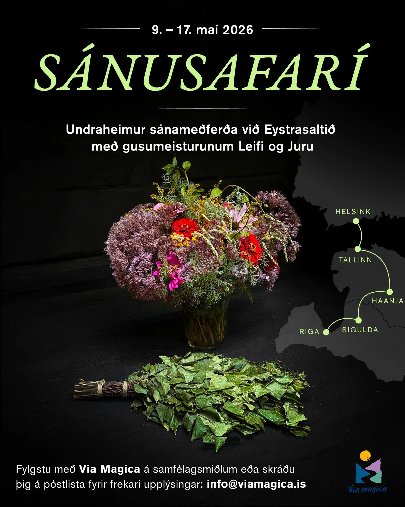 &Aacute; &aacute;tta d&ouml;gum lei&eth;um vi&eth; &thorn;ig &iacute; gegnum d&yacute;pri og lengri s&aacute;name&eth;fer&eth;ir og dekur. &Aacute; sama t&iacute;ma fer&eth;umst vi&eth; um borgir og &thorn;j&oacute;&eth;gar&eth;a vi&eth; Eystrasalti&