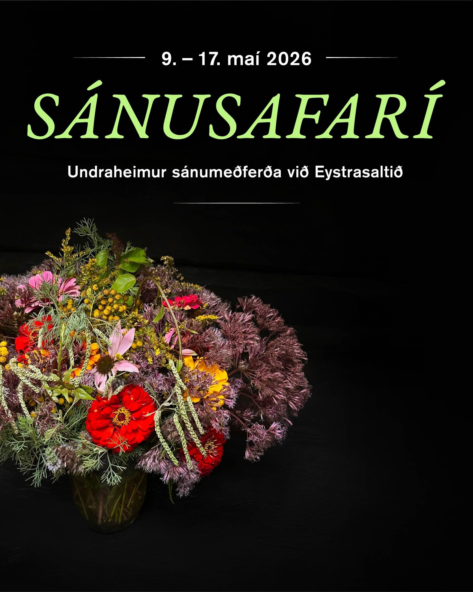 S&aacute;nusafari fer&eth;in er komin &iacute; s&ouml;lu. N&aacute;nari uppl&yacute;singar h&eacute;r www.viamagica.is