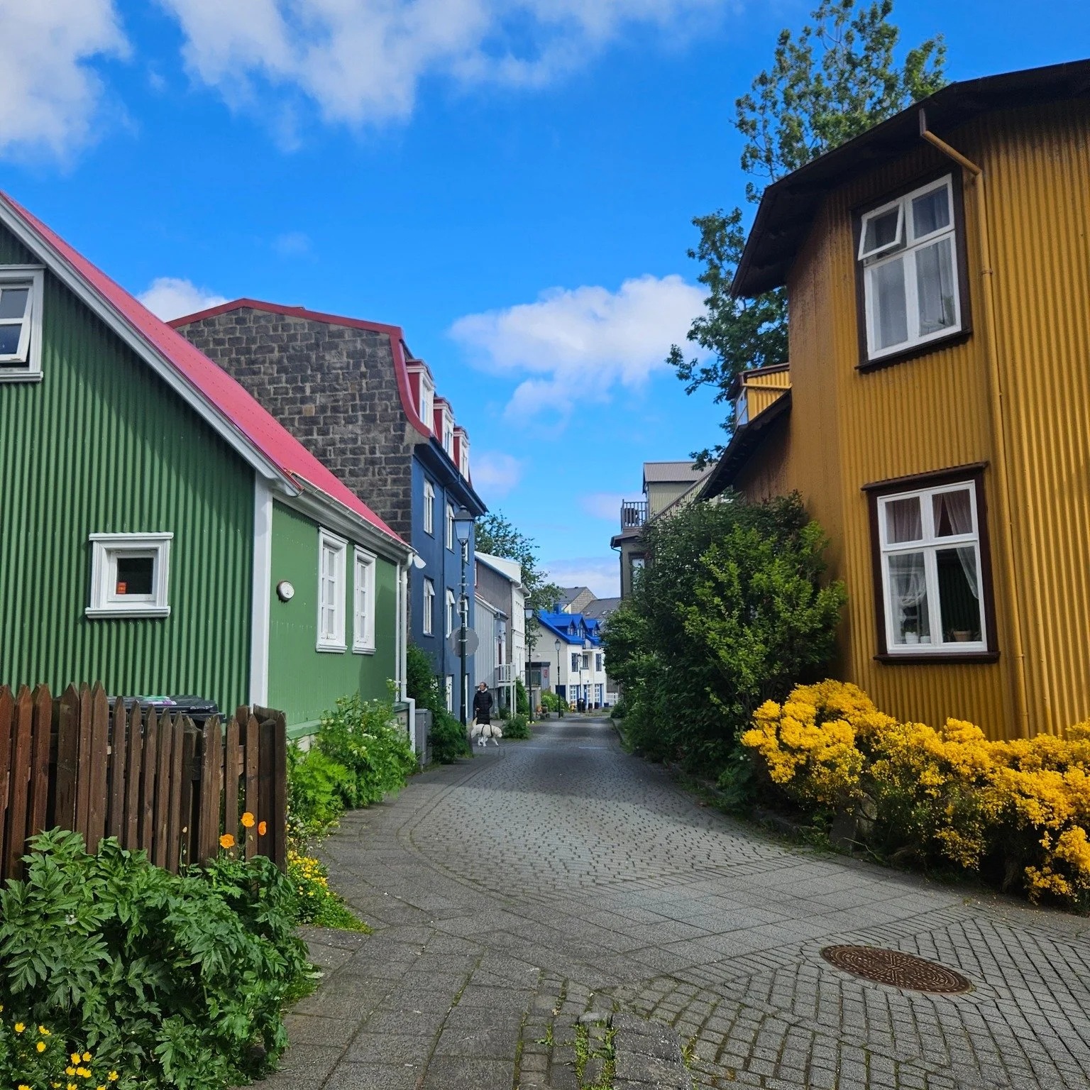 Reykjav&iacute;k, a colorful capital of Iceland, where you can spend hours exploring and enjoying the little things ✨

From cozy streets to hidden corners, there&rsquo;s always something to discover!
 #reykjavik #iceland #colorsoficeland
