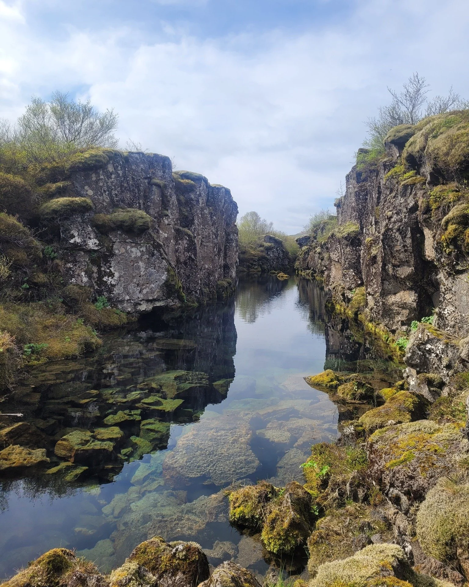 Magical hidden spots in Iceland.
Some locations must remain a secret&hellip; but join us to experience their wonder firsthand.

Send us a DM to plan your adventure ✨
 #hiddengem #iceland #magicalplaces #adventureiniceland #exploreiceland #ExploreIcel