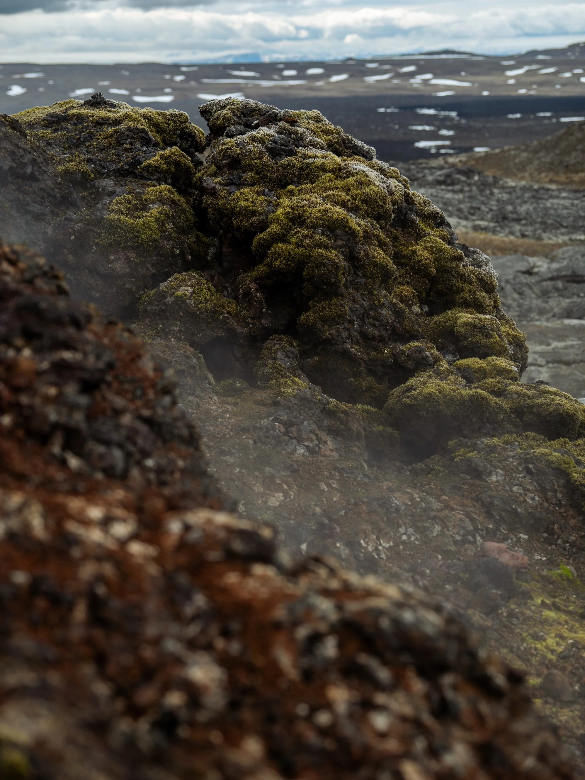 Smoking lava, sleeping trolls or cute lambs is what you can expect to see in Iceland all in one day