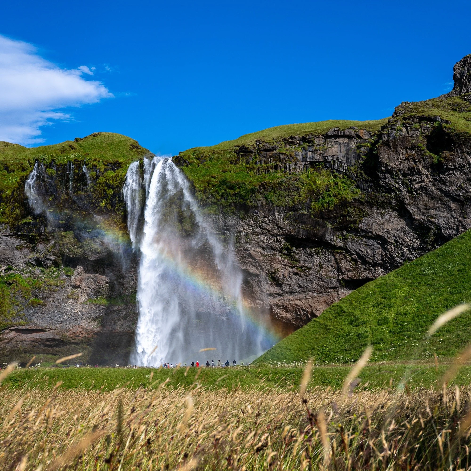 Sunshine and rainbows