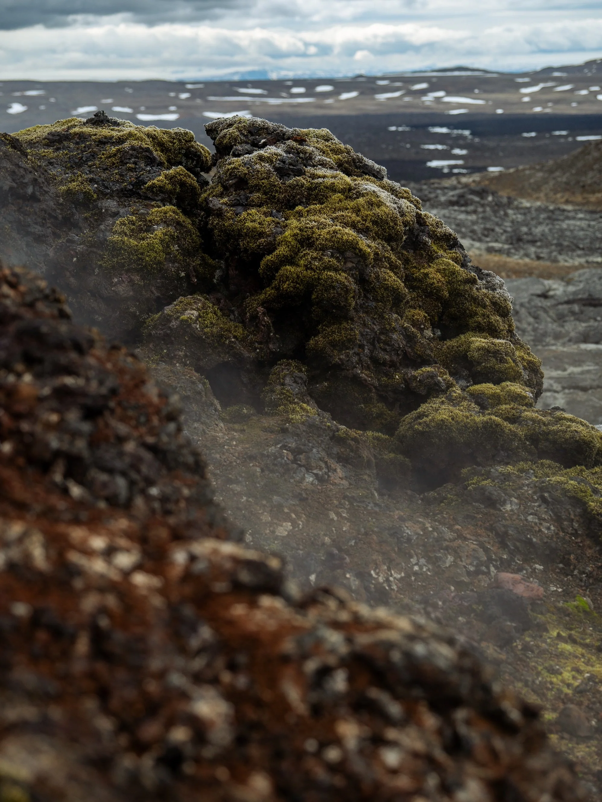 Smoking lava, sleeping trolls and little lamb is what you can expect to see in Iceland