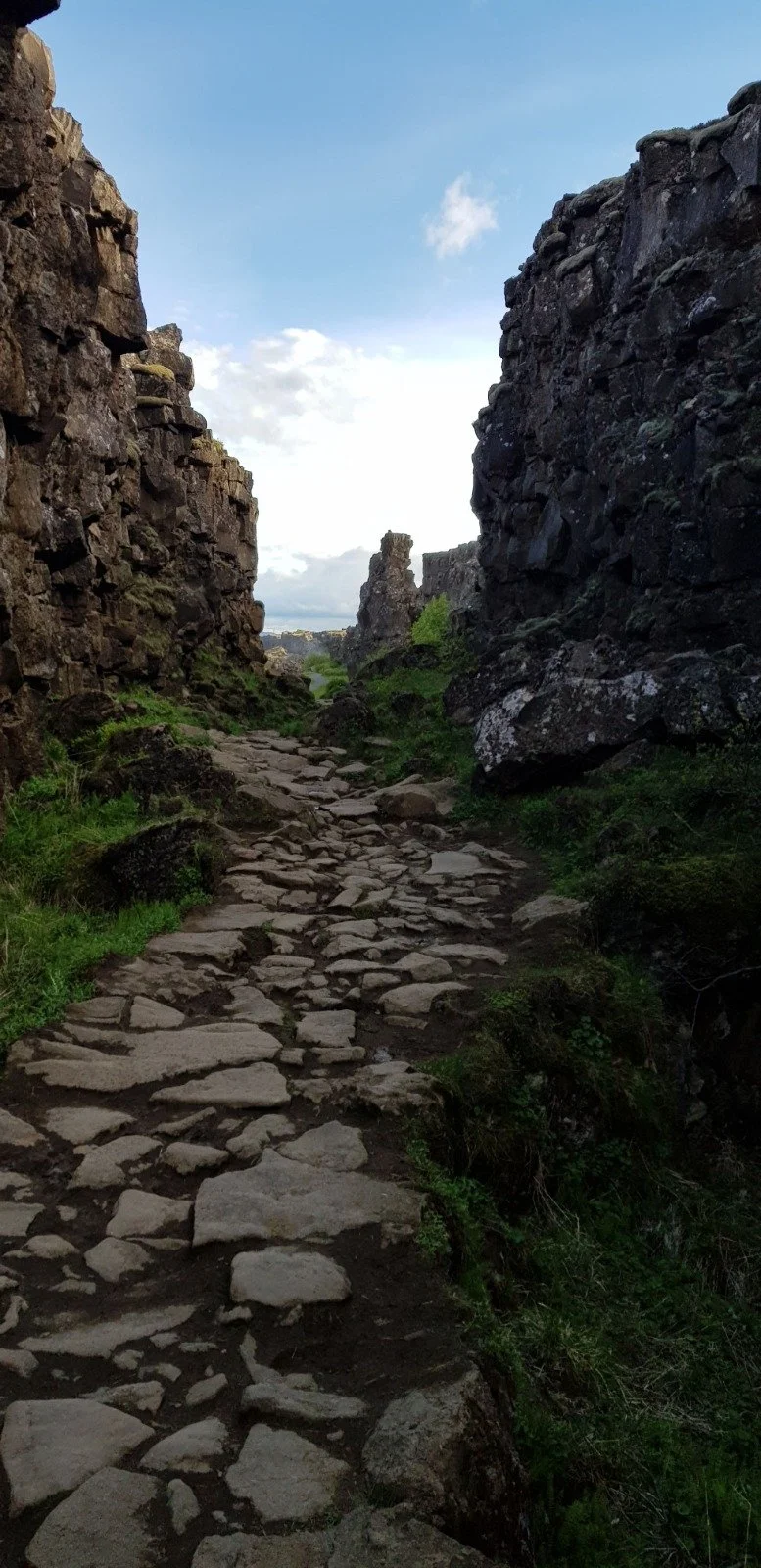 WhatsApp Image 2026-03-05 at 15.53.21 (36).jpeg