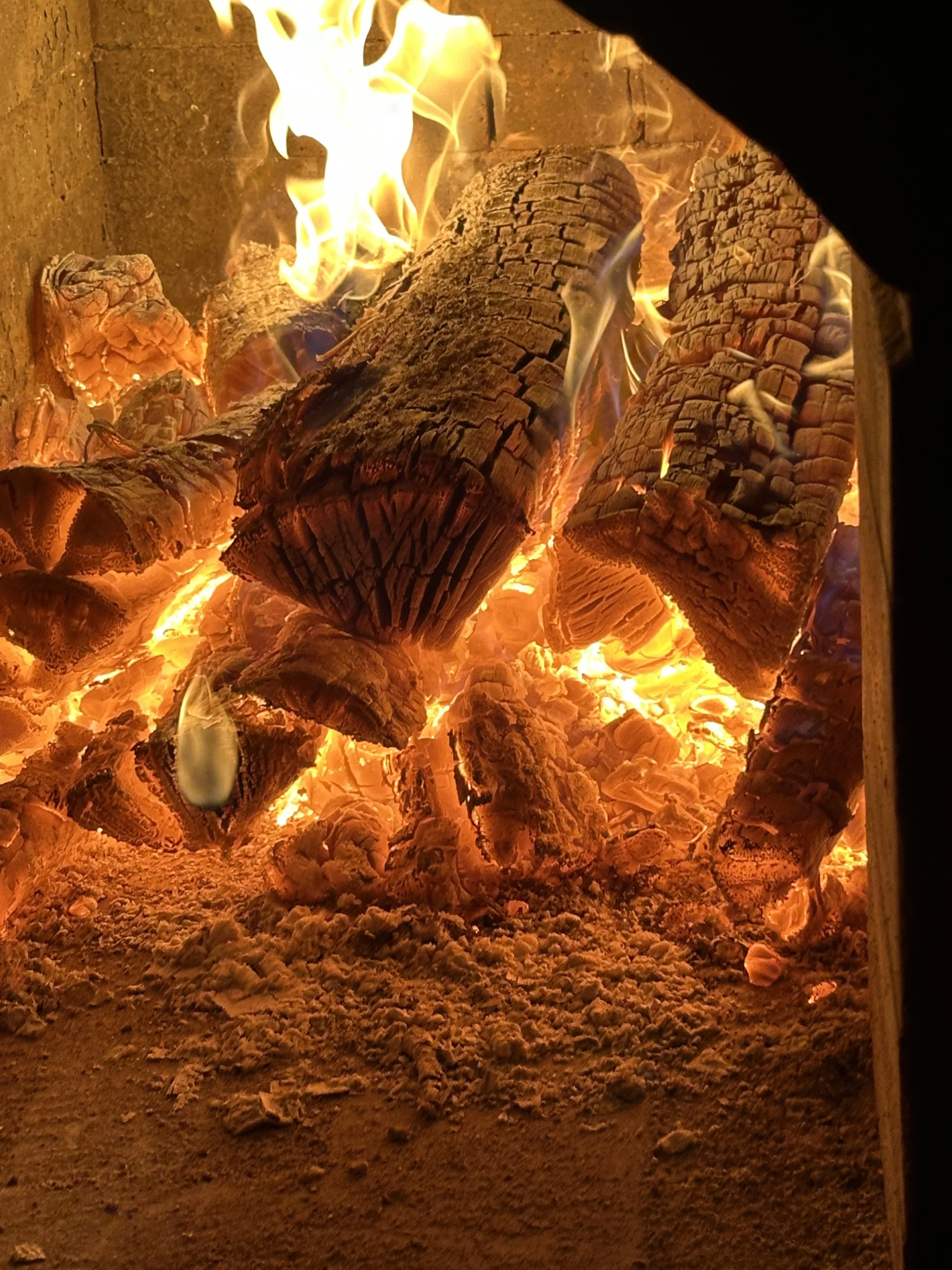 Burning logs in a fire with visible flames and embers.