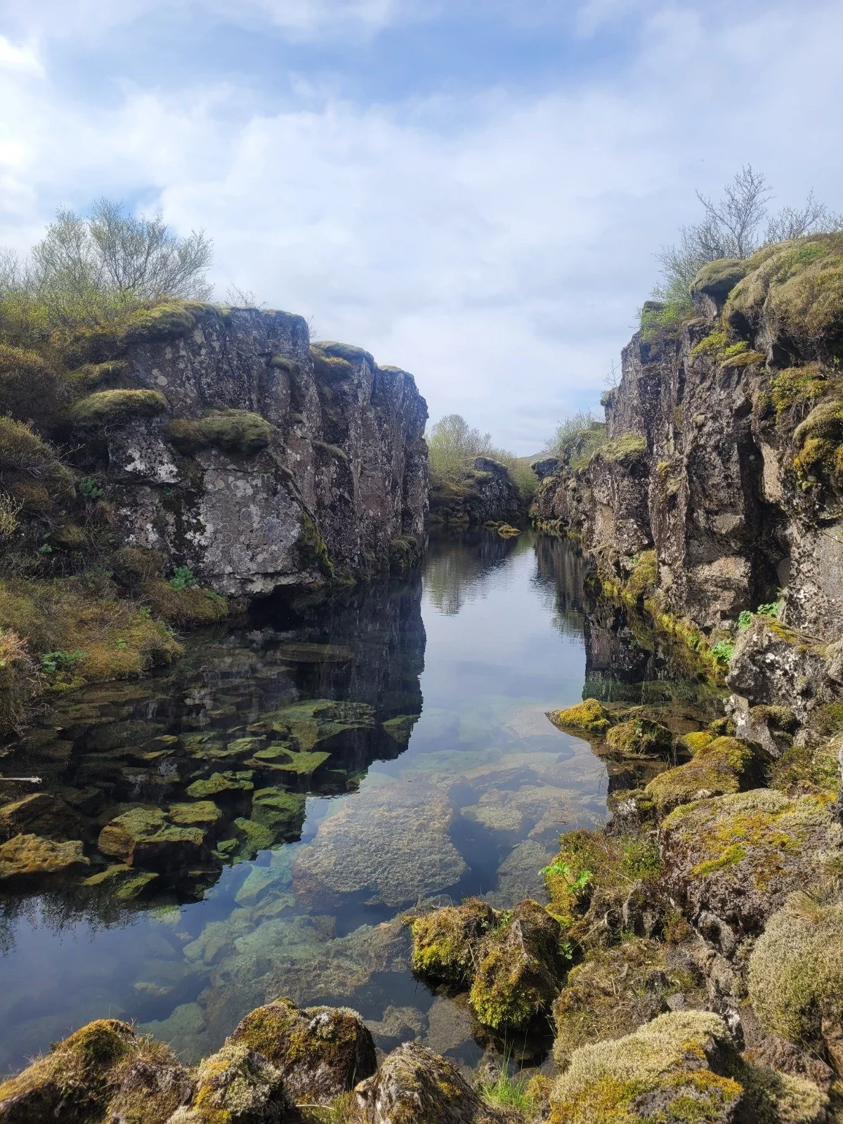 WhatsApp Image 2026-03-05 at 15.53.21 (27).jpeg