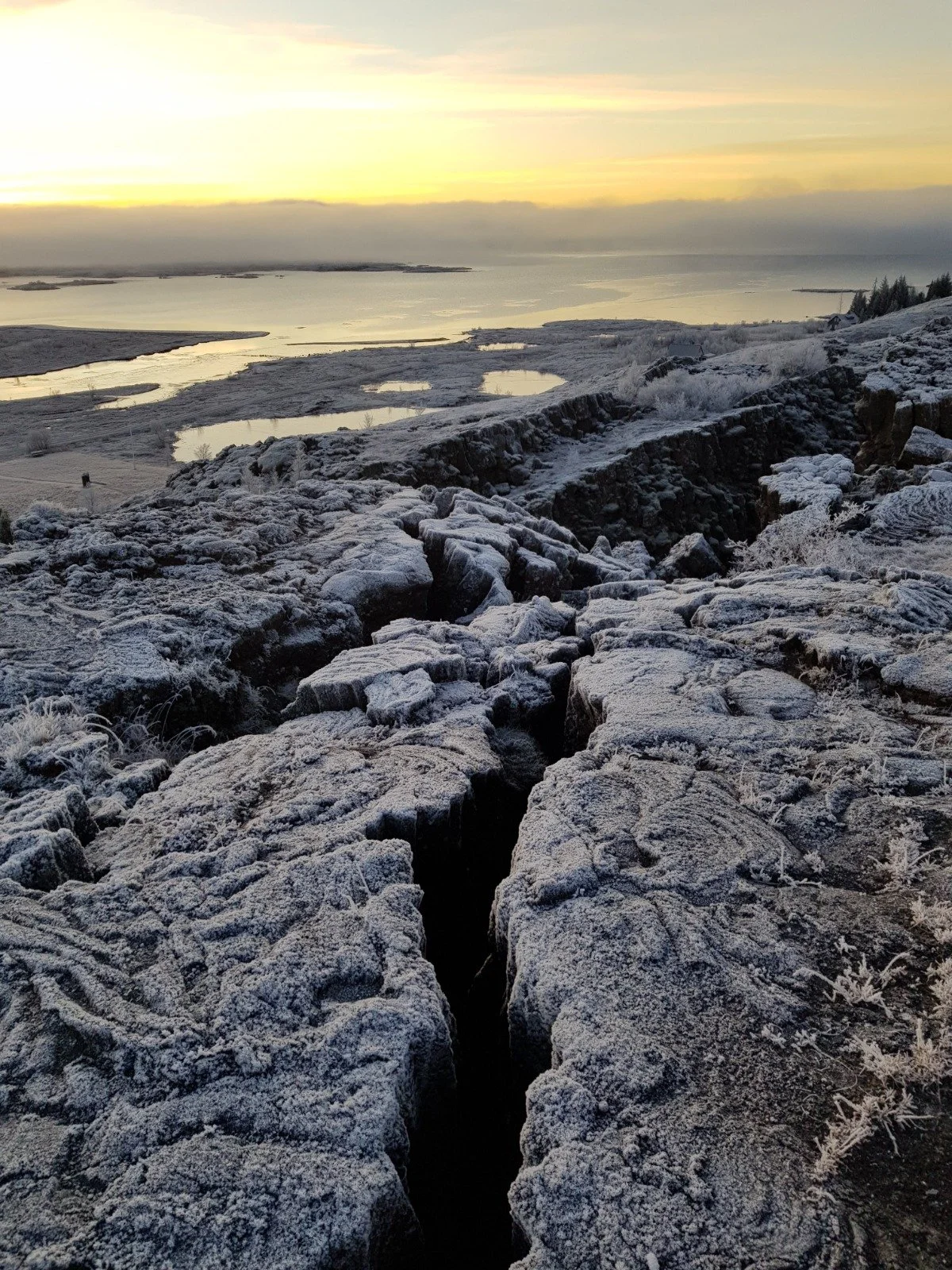 WhatsApp Image 2026-03-05 at 15.53.42.jpeg