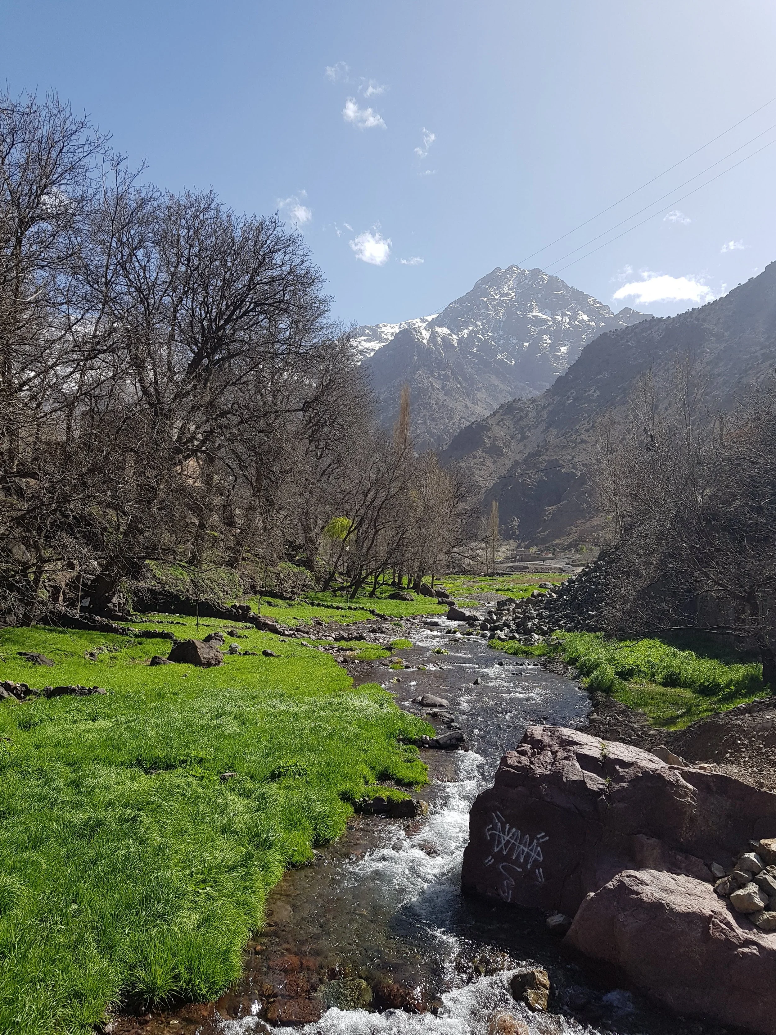 20190414_162802.jpg